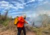 Equipes da Defesa Civil atuam em diversas ocorrências de combate às queimadas na Capital