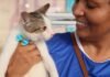Prefeitura fortalece políticas públicas e amplia serviços de proteção e bem-estar animal em Palmas